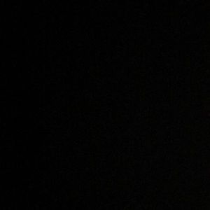 Meet your Posher, Gianna